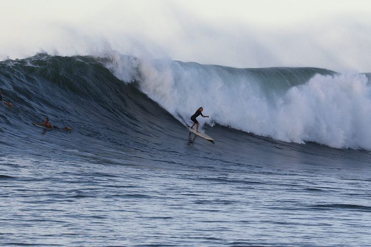 big wave surfer